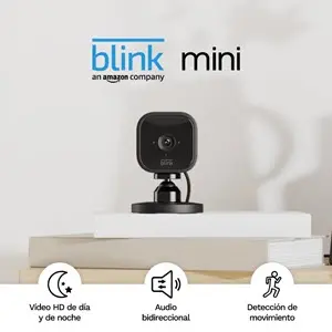 Blink mini