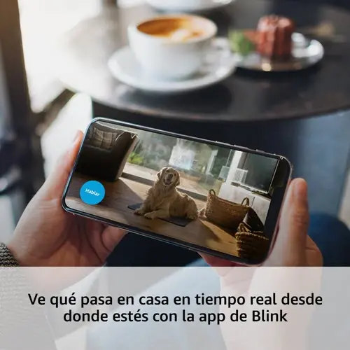 Blink mini