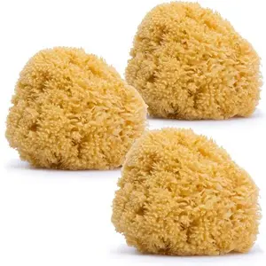 Esponjas naturales Suavinex 300 300