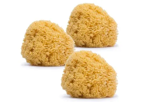Esponjas naturales Suavinex