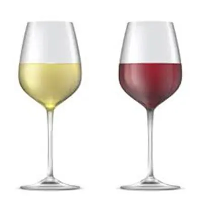 Vino Ederra 