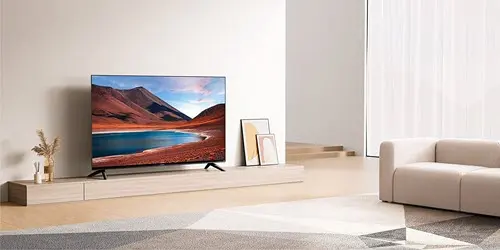 Xiaomi F2 43 pulgadas 