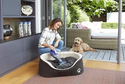 Aspirador de mano Black and Decker