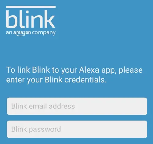 Blink mini