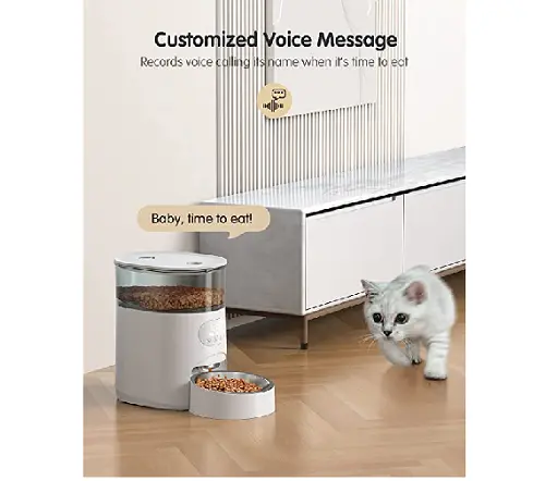 Comedero automático para gatos