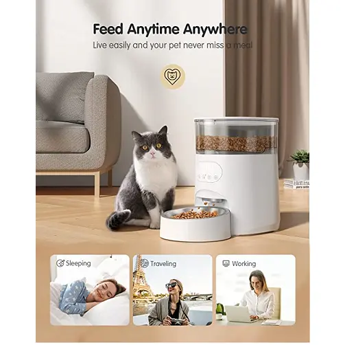 Comedero automático para gatos