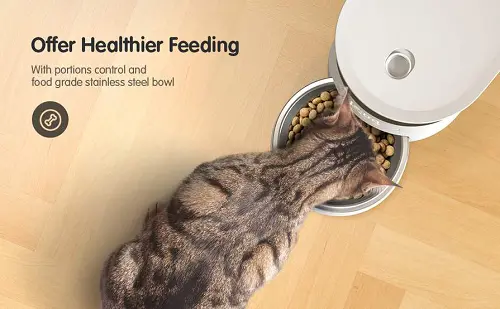 Comedero automático para gatos