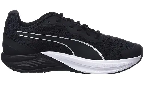Puma Feline